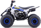 MINIQuad Infantil 125cc Gasolina automático con Marcha atrás, Azul, Carga máxima 120 kg (Solo para circuitos Cerrados)