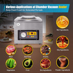 Máquina de Envasado al Vacío Profesional DZ-260 - Selladora Industrial de Película 220V - Dispositivo de Vacío de Acero Inoxidable