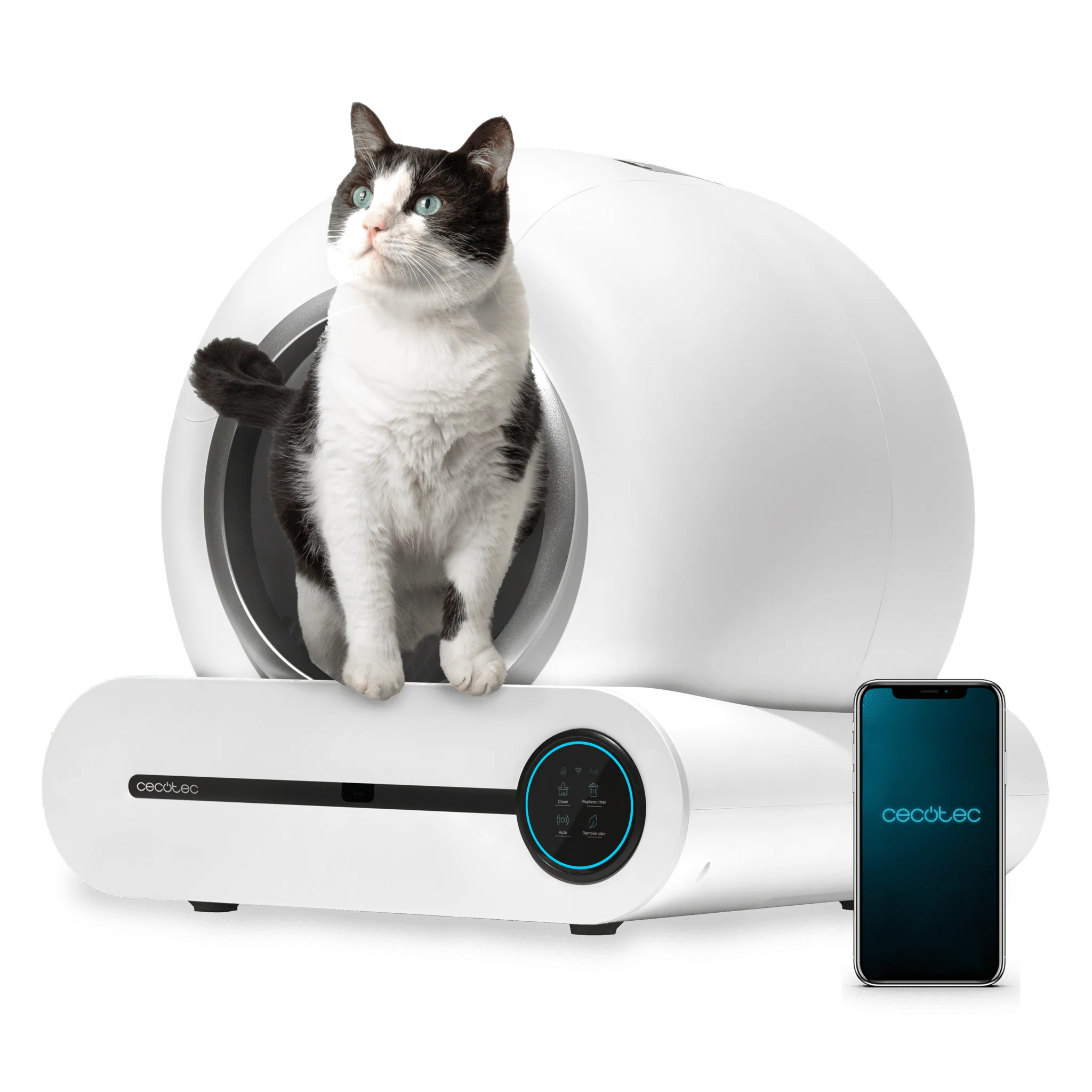 Pumba 8000 CleanKitty Smart