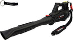 HEADNMORE® Bundle Parkside Performance PPTLBA 40 - Soplador de hojas con batería (40 V, incluye llavero)